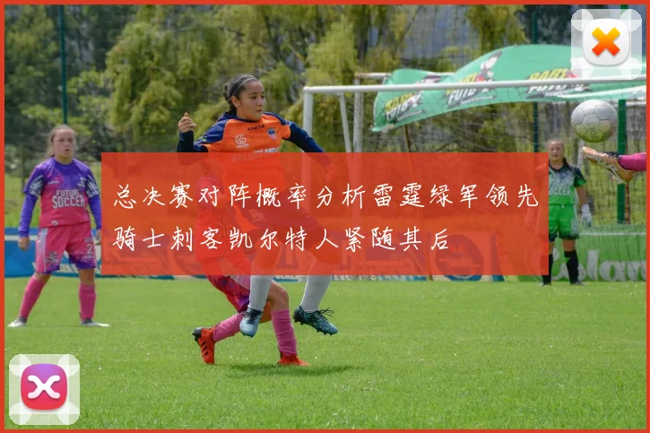 总决赛对阵概率分析雷霆绿军领先骑士刺客凯尔特人紧随其后